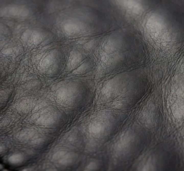 Makrofotografia struktury pełnoziarnistej skóry