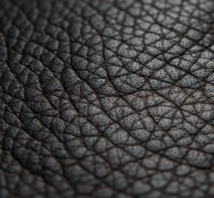 Makrofotografia tekstury skóry